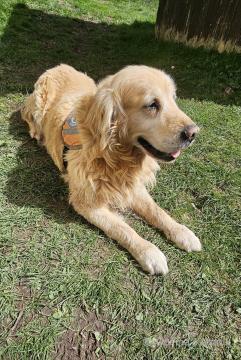 28. gorski tek k Svetemu Primožu (31)